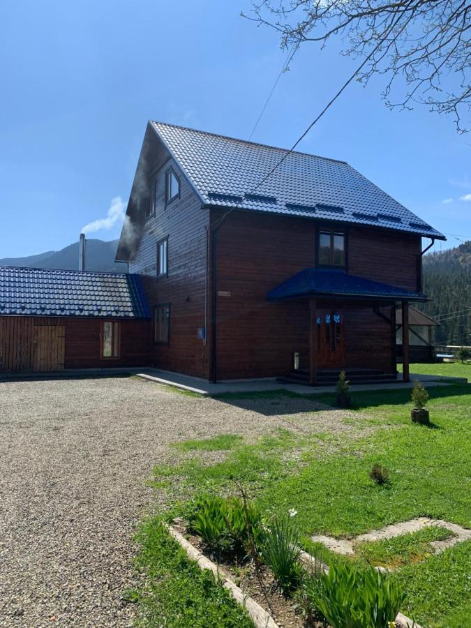 Apartament під явором *